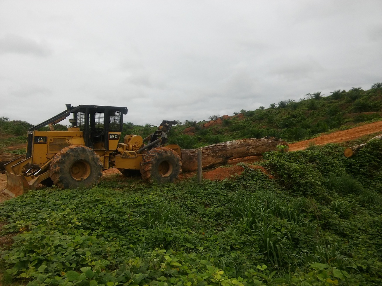 Maquinaria en caserío Bajo Rayal de Ocho Sur U SAC, antes Plantaciones de Ucayali. Foto: Aramís Castro - Convoca.